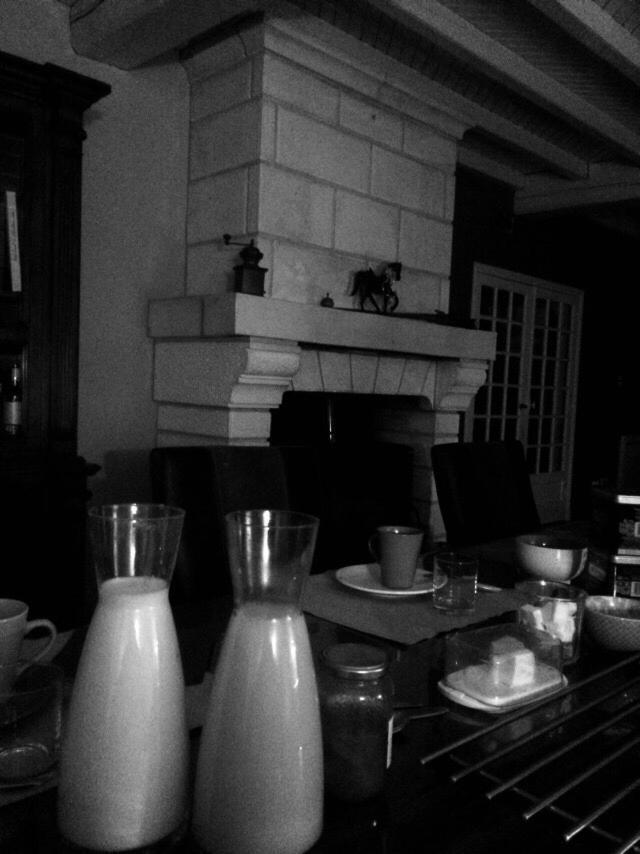 B&B Les Quatre Vents Montpon-Menesterol Экстерьер фото